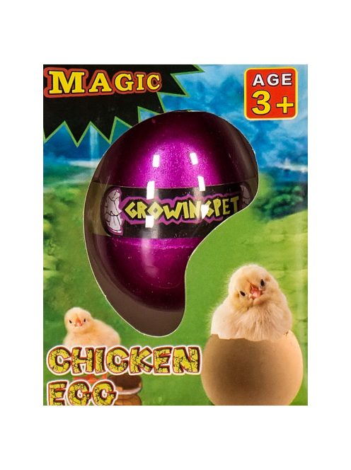 Pui care crește într-un ou